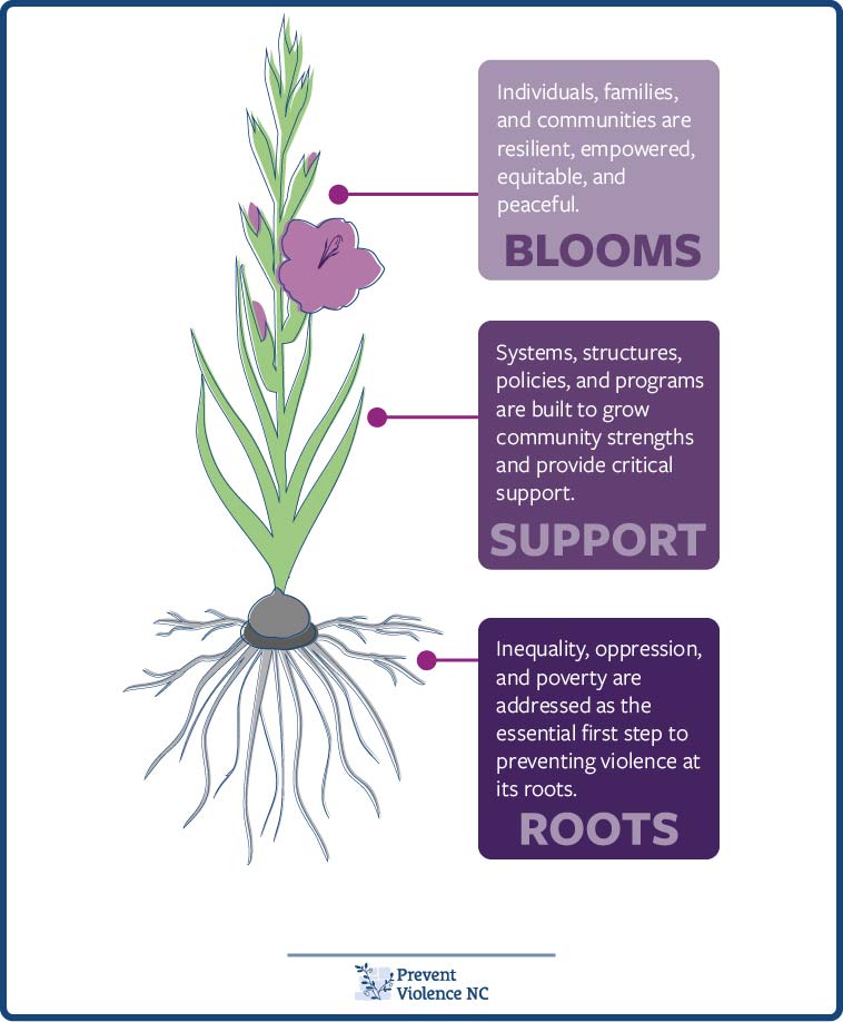 Image of purple flower with green leaves and a root system along with informational boxes. Purple box labels roots  as Inequality, oppression, and poverty are addressed as the essential first step to preventing violence at its roots. A lighter purple box labeled support says Systems, structures, policies and programs are built to grow community strengths and provide critical support. The lightest purple box labeled blooms says individuals, families, and communities are resilient, empowered, equitable, and peaceful.